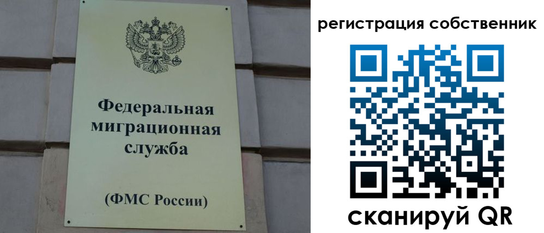 прописка гарантия в Киржаче